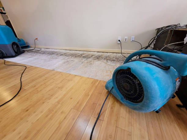 Professional Water Removal technician working in Atglen, PA